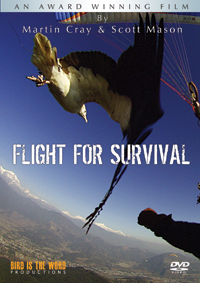flight for survival
