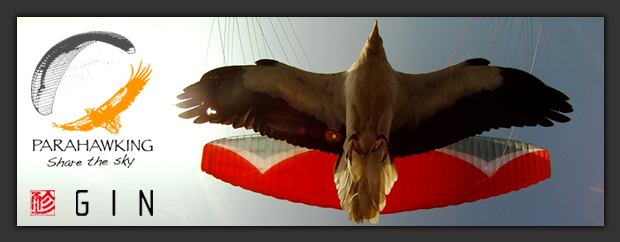 Parahawking Logo and header